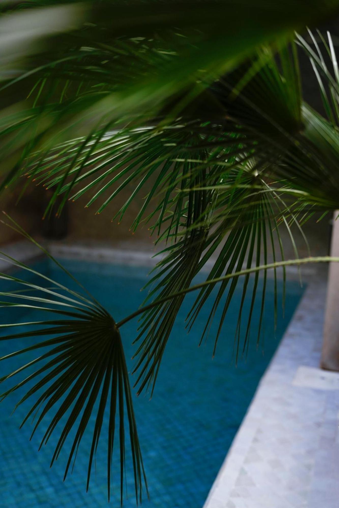 Riad Al Massarah Marrakesh Buitenkant foto
